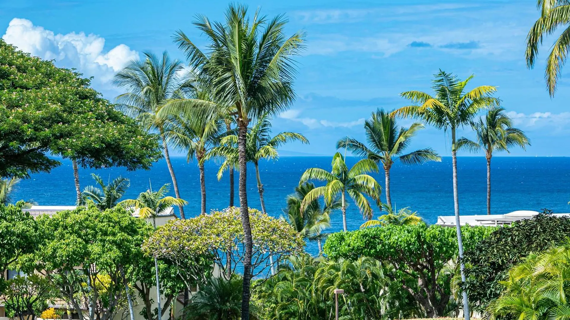 Maui Kamaole C209 - Mch Villa Kihei 0*,